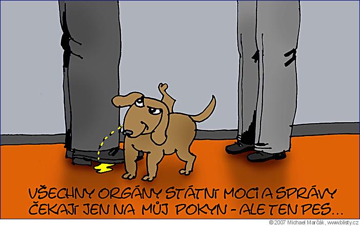 Michael Marčák: Všechny orgány státní moci a správy čekají jen na můj pokyn - ale ten pes...