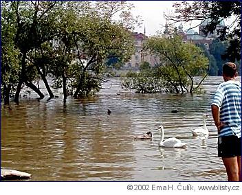 Začínající povodeň v Praze, pohled z Klárova ke Karlovu mostu. Foto Ema H. Čulík. Fotogalerie z úterý budou k dispozici dnes odpoledne