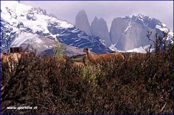 Věže Torres del Paine (http://www.gochile.cl/) Věže Torres del Paine (http://www.gochile.cl/)